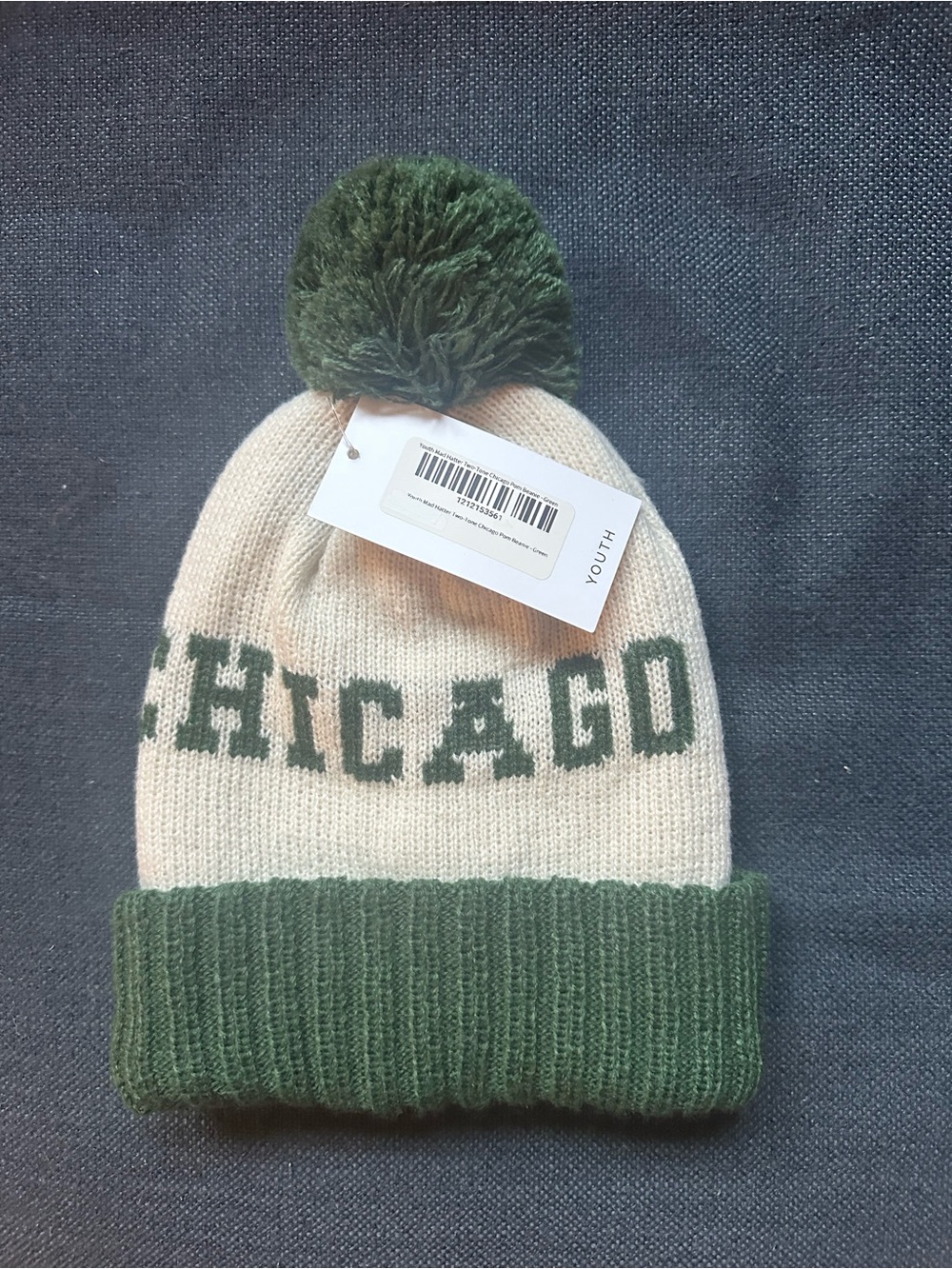 NWT American Needle Chicago Beanie
